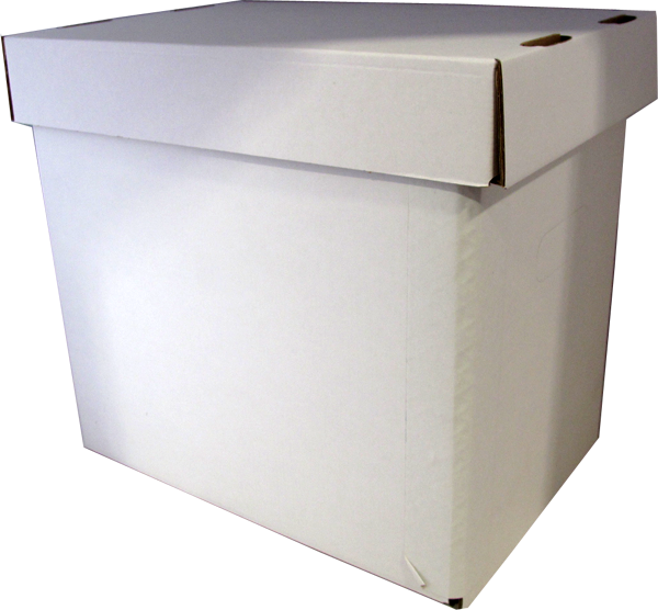 Comic Album Box