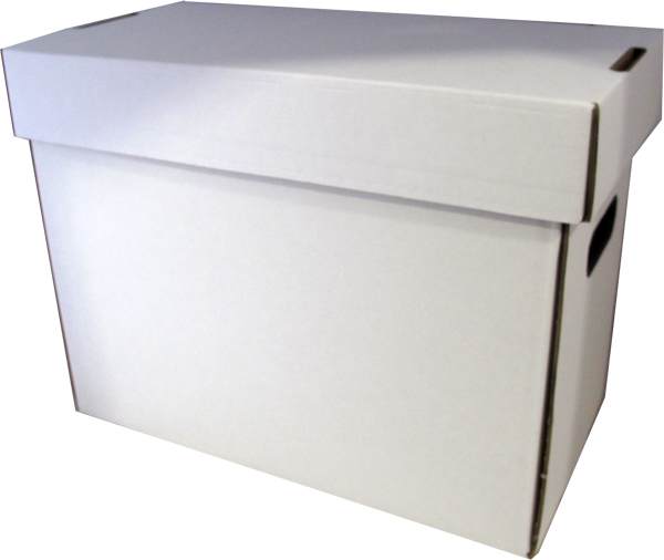 Comic Short Box