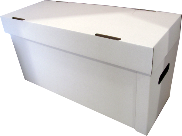 Comic Long Box